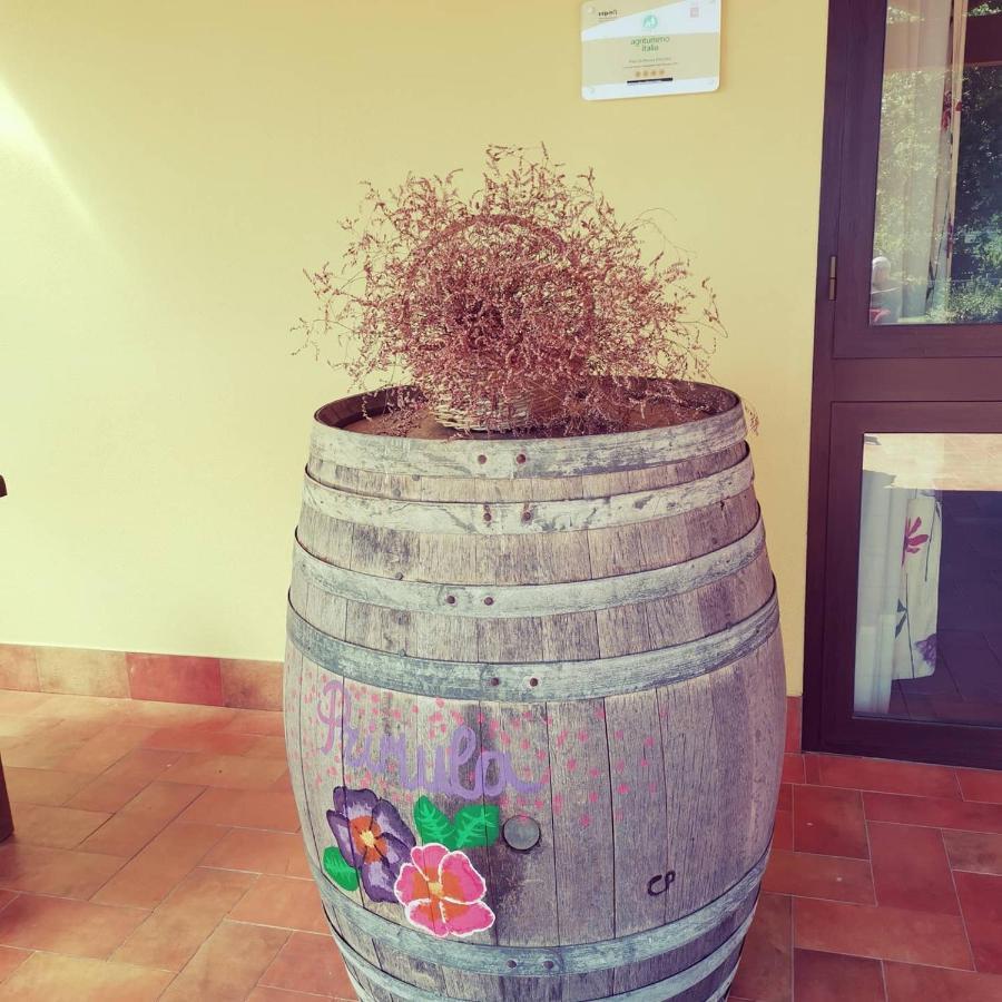 Séjour à la ferme Pian Di Rocca Country Castiglione della Pescaia